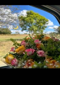 一言不发就吸血漫画